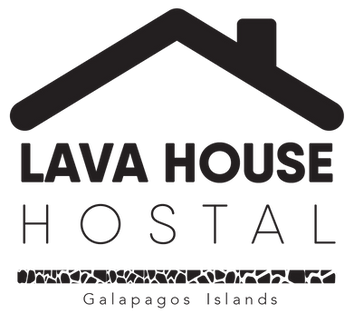 Logo LAVA HOUSE 2020-01.png